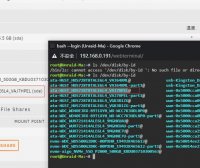 unraid 硬盘直通教程 202-03-11 unraid版本为6.9.1