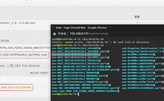 unraid 硬盘直通教程 202-03-11 unraid版本为6.9.1