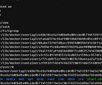 Docker使用速成 容器命令讲述