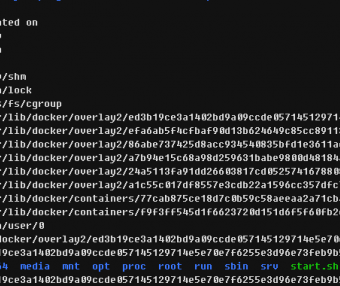 Docker使用速成 容器命令讲述