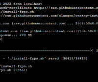 frp 服务端frps脚本以及 frpc的 Windows GUI 客户端 内网穿透