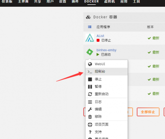 EmbamSub：unraid下Emby安装插件使用方法