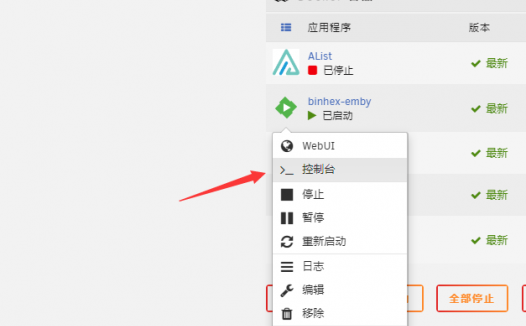 EmbamSub:unraid下Emby安装插件使用方法