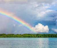 unraid中如何使用nvidia-persistenced进行可持久化模式