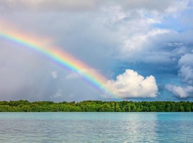 [VPS相关脚本收集] 常用脚本备份